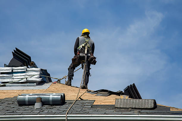 Professional Storm Damage Roof Repair technician working in Wisdom, MT